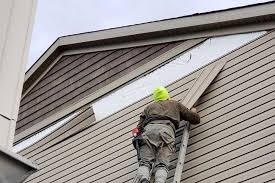 Best Historical Building Siding Restoration  in Platteville, WI